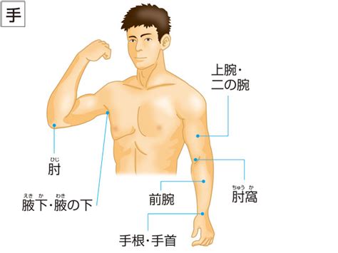 腋下 読み方|腋下(エキカ)とは？ 意味や使い方